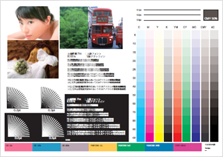 出力用サンプルデータ | 千葉測器オフィシャルサイト